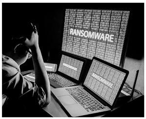 Screen Shot 2019-02-05 at 4.52.56 PM